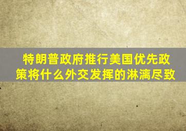 特朗普政府推行美国优先政策将什么外交发挥的淋漓尽致