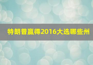 特朗普赢得2016大选哪些州