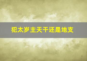 犯太岁主天干还是地支