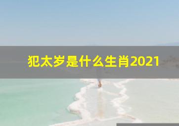 犯太岁是什么生肖2021