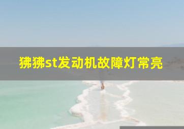 狒狒st发动机故障灯常亮