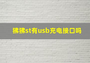 狒狒st有usb充电接口吗