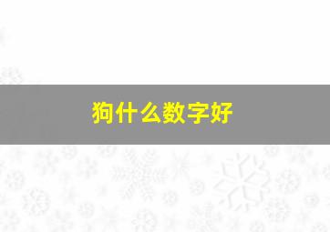 狗什么数字好