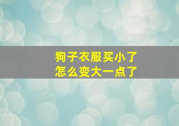 狗子衣服买小了怎么变大一点了