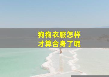 狗狗衣服怎样才算合身了呢