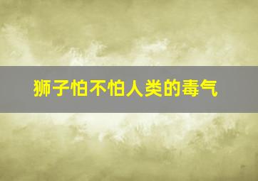 狮子怕不怕人类的毒气