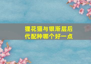 狸花猫与银渐层后代配种哪个好一点