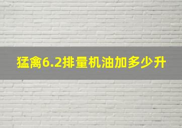 猛禽6.2排量机油加多少升