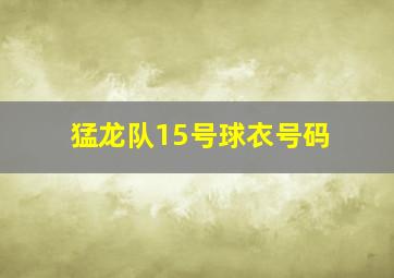 猛龙队15号球衣号码