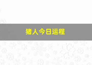 猪人今日运程