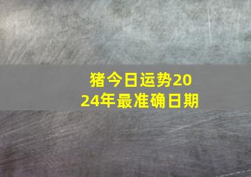 猪今日运势2024年最准确日期