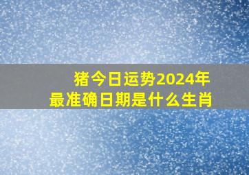 猪今日运势2024年最准确日期是什么生肖