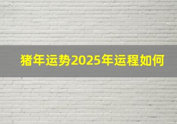 猪年运势2025年运程如何