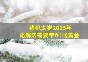 猪犯太岁2025年化解法需要带😧黄金