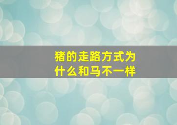 猪的走路方式为什么和马不一样