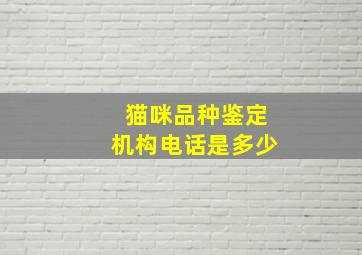 猫咪品种鉴定机构电话是多少