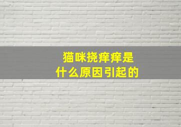 猫咪挠痒痒是什么原因引起的