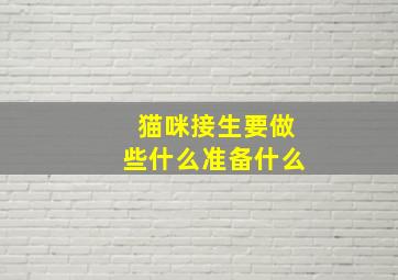 猫咪接生要做些什么准备什么