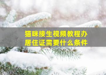 猫咪接生视频教程办居住证需要什么条件