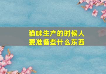 猫咪生产的时候人要准备些什么东西