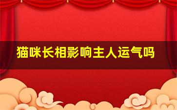 猫咪长相影响主人运气吗