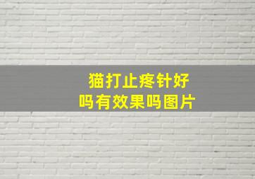 猫打止疼针好吗有效果吗图片