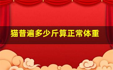 猫普遍多少斤算正常体重