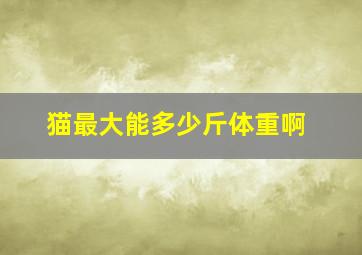 猫最大能多少斤体重啊