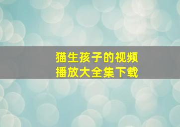 猫生孩子的视频播放大全集下载