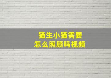 猫生小猫需要怎么照顾吗视频