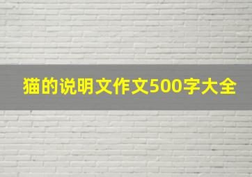 猫的说明文作文500字大全