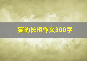 猫的长相作文300字