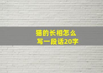 猫的长相怎么写一段话20字