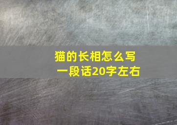 猫的长相怎么写一段话20字左右