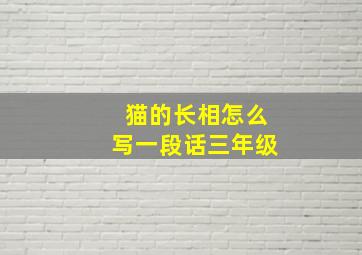 猫的长相怎么写一段话三年级