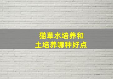 猫草水培养和土培养哪种好点