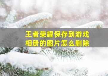 王者荣耀保存到游戏相册的图片怎么删除