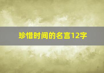 珍惜时间的名言12字