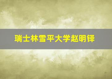 瑞士林雪平大学赵明铎