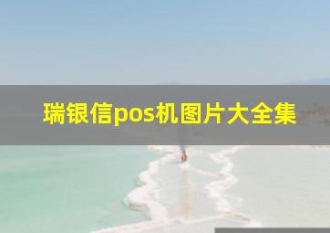 瑞银信pos机图片大全集