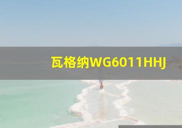 瓦格纳WG6011HHJ