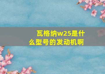 瓦格纳w25是什么型号的发动机啊