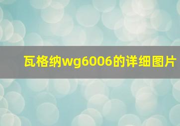 瓦格纳wg6006的详细图片