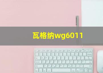 瓦格纳wg6011