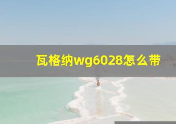 瓦格纳wg6028怎么带