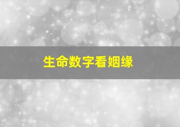 生命数字看姻缘