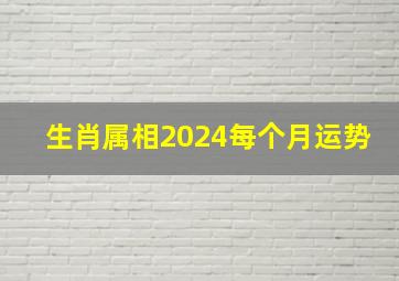 生肖属相2024每个月运势