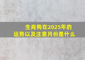 生肖狗在2025年的运势以及注意月份是什么