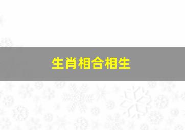 生肖相合相生