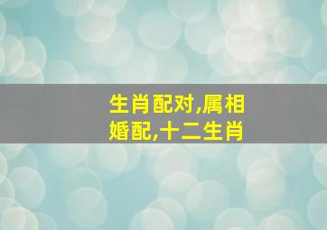 生肖配对,属相婚配,十二生肖